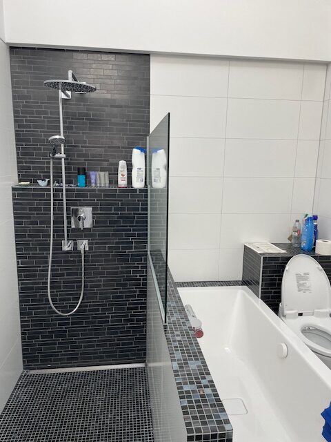 Salle de bain douche-baignoire